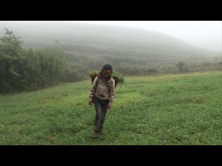 "three sisters" |2012| directed by: wang bing | documentary, drama (russian subtitles)