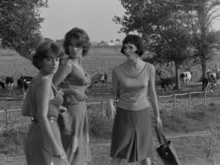 the good night (1959 // rosanna schiaffino // elsa martinelli // mylene demongeot // antonella lualdi // anna-maria ferrero //)